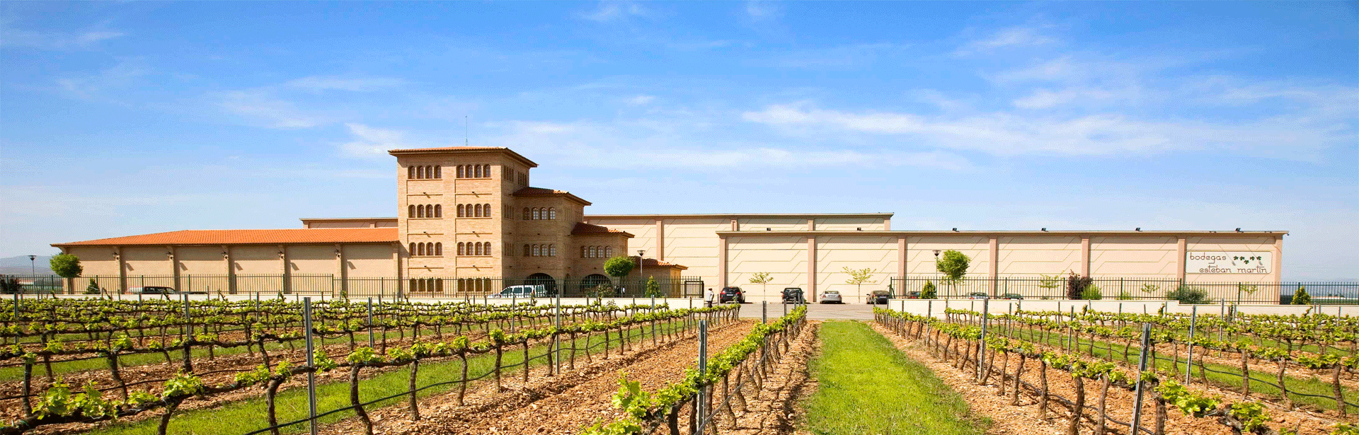 bodega Esteban